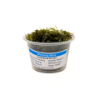 Picture of PLANT - WEEPING MOSS PORTION