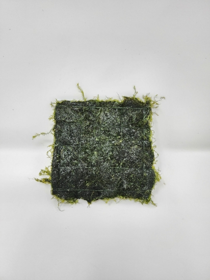 Picture of FISSIDENS FONTANUS 3"X3"